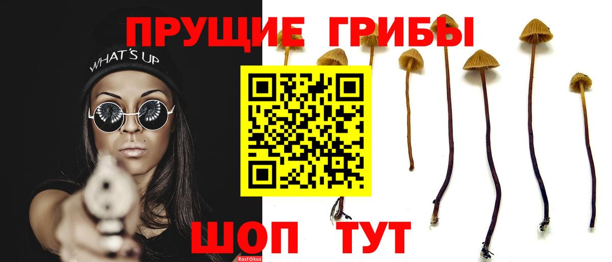 Галлюциногенные грибы Cubensis Апрелевка
